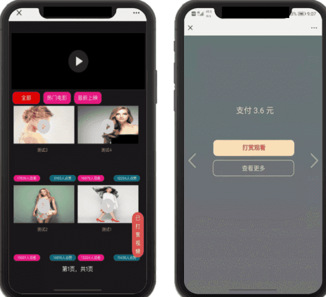 在线视频诺诺打赏VIP付费看视频带试看已对接支付代理平台安装教程