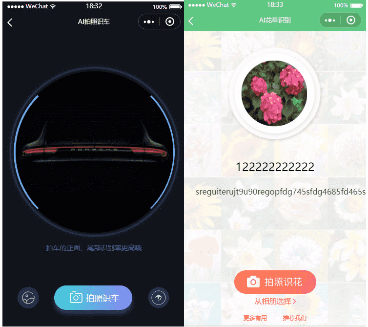 功能模块：灵石AI识别大全V3.0.0 小程序前端+后端